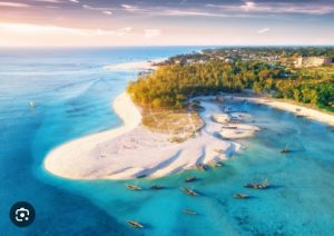 Zanzibar Business Directory